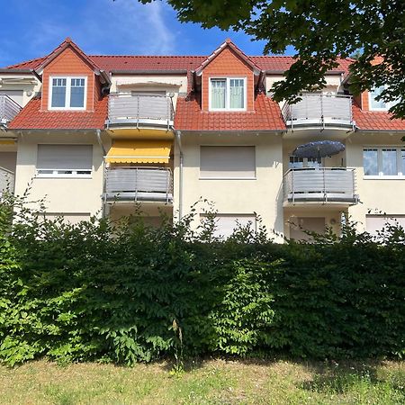 K14 Fewo - Am Kurpark - Therme Bad Saarow Exteriör bild